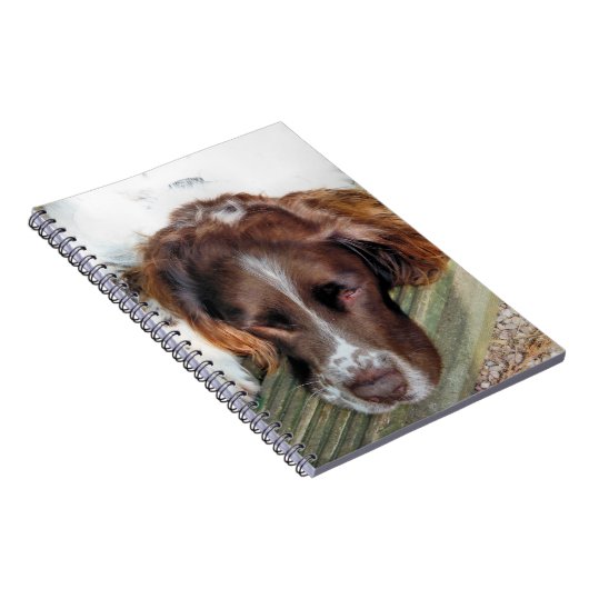 SPANIEL DOG NOTIZBLOCK (Rechte Seite)