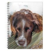 SPANIEL DOG NOTIZBLOCK (Vorderseite)