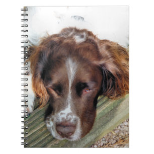 SPANIEL DOG NOTIZBLOCK