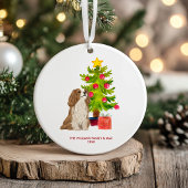 Spaniel Dog Personalisiert Weihnachten Keramik Ornament