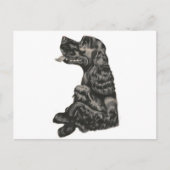 Spaniel Dog Postcard Postkarte (Vorderseite)