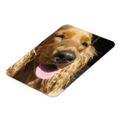 Spaniel Dog Premium Magnet (Linke Seite)