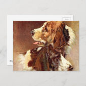Spaniel Dogs Vintages Kunstdesign Postkarte (Vorne/Hinten)
