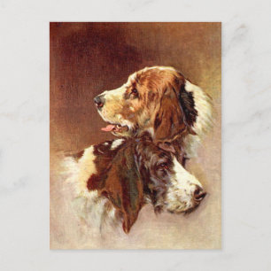 Spaniel Dogs Vintages Kunstdesign Postkarte