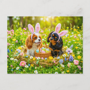 Spaniel-Duo im Osternest auf einer Wiese Postkarte