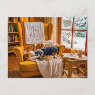 Spaniel-Duo in einem gemütlichen Winter-Sessel Postkarte