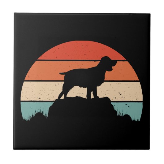 Spaniel English springer Fliese (Vorderseite)
