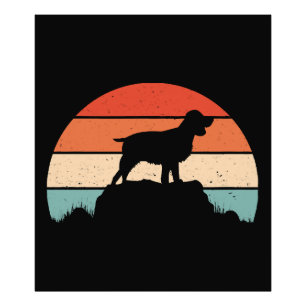 Spaniel English springer Fotodruck