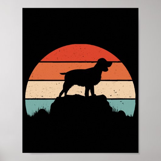 Spaniel English springer Poster (Vorne)