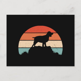 Spaniel English springer Postkarte