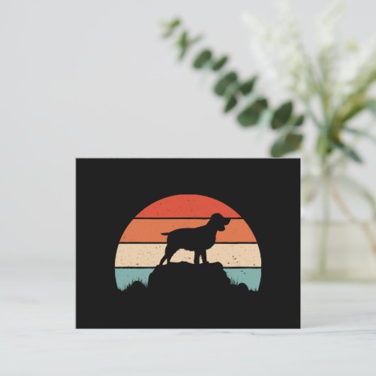 Spaniel English springer Postkarte (Stehend Vorderseite)