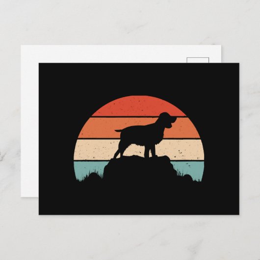 Spaniel English springer Postkarte (Vorne/Hinten)