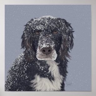 Spaniel-Hund-Mischlings-Tierporträt Poster