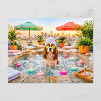 Spaniel im Wellnesspool Postkarte