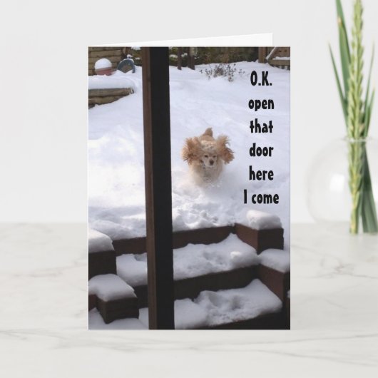 SPANIEL IST BEREIT ZU SAGEN ***GLÜCKLICHER GEBURTS KARTE (Vorderseite)