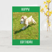 SPANIEL KANN NICHT WARTEN, ZU SAGEN **GLÜCKLICHER  KARTE (Gelbe Blume)