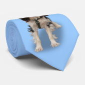 SPANIEL KRAWATTE (Gerollt)