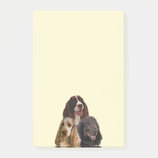Spaniel-Liebe - Post-Itanmerkungen Post-it Klebezettel (Vorderseite)