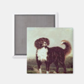 Spaniel Magnet (Vorderseite/Rückseite)