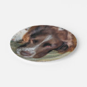 SPANIEL PAPPTELLER (Schrägansicht)