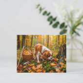 Spaniel-Pilzsuche im Herbstwald Postkarte (Stehend Vorderseite)