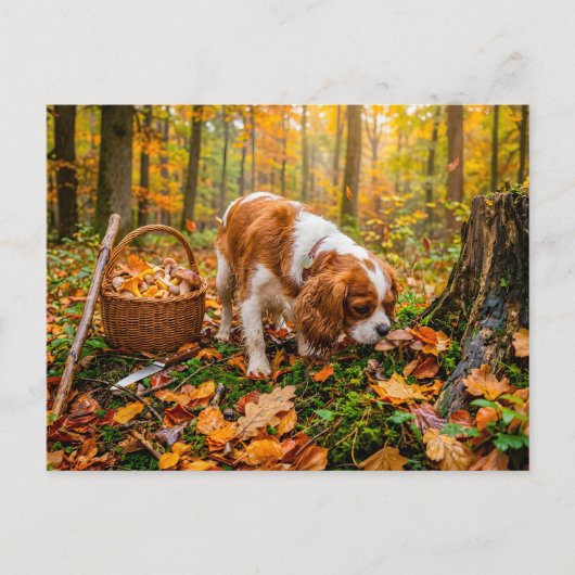 Spaniel-Pilzsuche im Herbstwald Postkarte (Vorderseite)