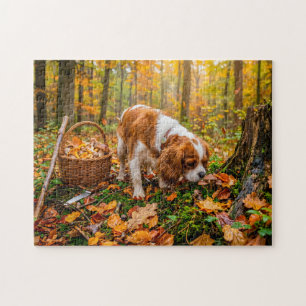 Spaniel-Pilzsuche im Herbstwald Puzzle
