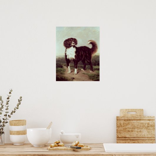 Spaniel Poster (Küche)