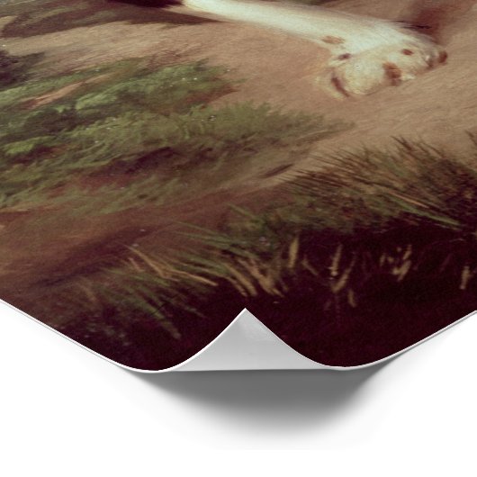 Spaniel Poster (Ecke)