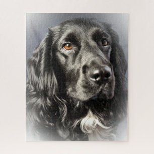Spaniel Puzzle