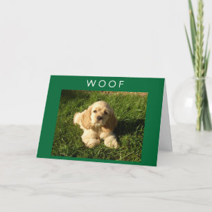 SPANIEL SAGT WUFF-UND-ALLES GUTE ZUM GEBURTSTAG MA KARTE