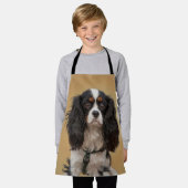 SPANIEL SCHÜRZE (Getragen)