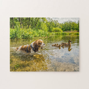 Spaniel schwimmt neben einer Entenfamilie am See Puzzle
