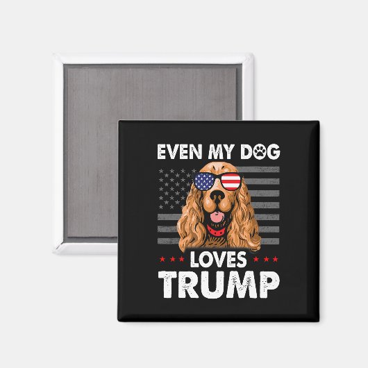 Spaniel sogar mein Hund Lieben Trump Funny Magnet (Vorderseite/Rückseite)