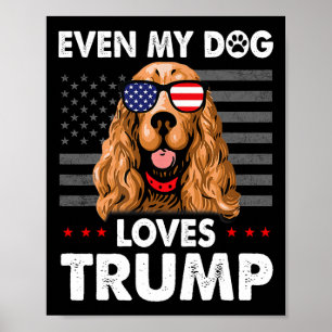 Spaniel sogar mein Hund Lieben Trump Funny Poster