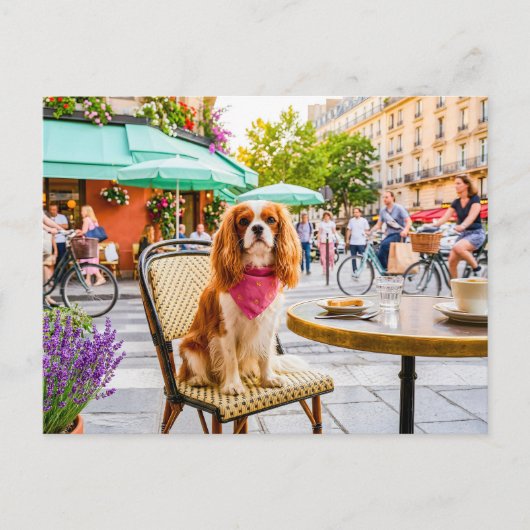Spaniel-Stadtausflug im Außen-Café Postkarte (Vorderseite)
