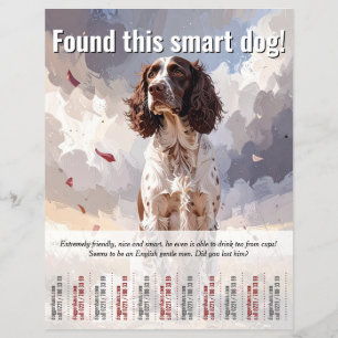Spaniel-Stecker gefunden Flyer