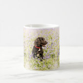 Spaniel-Tasse Kaffeetasse (Mittel)