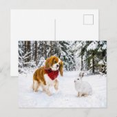 Spaniel trifft Schneehase im Winterwald Postkarte (Vorne/Hinten)