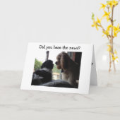 SPANIEL UND HAVANESE SAGEN IHNEN GLÜCKLICH BIRTHTA KARTE (Gelbe Blume)