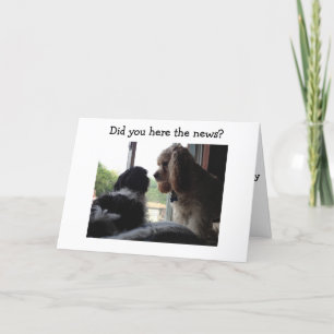 SPANIEL UND HAVANESE SAGEN IHNEN GLÜCKLICH BIRTHTA KARTE