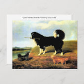Spaniel und zwei Norfolk Terriers Postkarte (Vorne/Hinten)