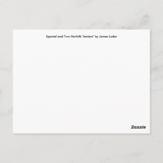 Spaniel und zwei Norfolk Terriers Postkarte (Rückseite)