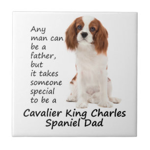 Spaniel-Vater-Fliese Fliese