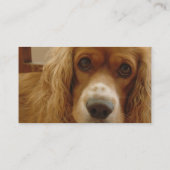 Spaniel-Zucht-Visitenkarte Visitenkarte (Rückseite)