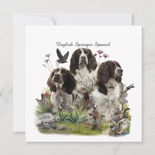 Spaniels "English Springer", Art Einladung (Vorderseite)