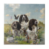 Spaniels "English Springer", Art Fliese (Vorderseite)