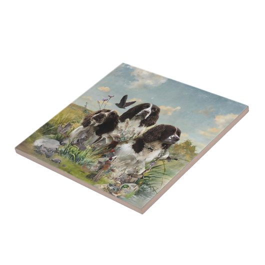 Spaniels "English Springer", Art Fliese (Seite)