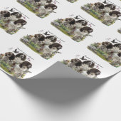Spaniels "English Springer", Art Geschenkpapier (Ecke)