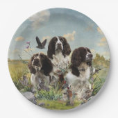 Spaniels "English Springer", Art Pappteller (Vorderseite)